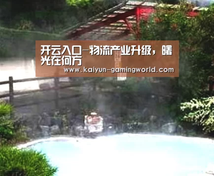 开云入口