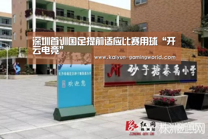 开云平台